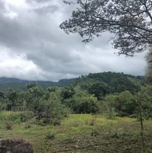 Meet your Posher, Nunez